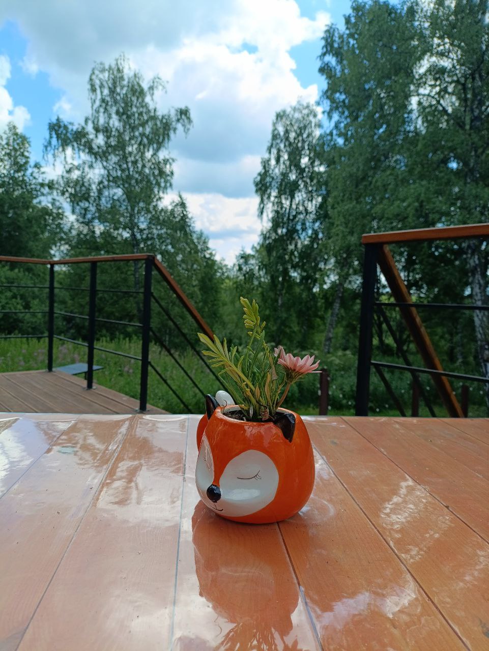 Лисий нос